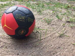 爱游戏中国电竞-世界青年手球锦标赛中国队勇夺三连胜，世界手球锦标赛几年一次